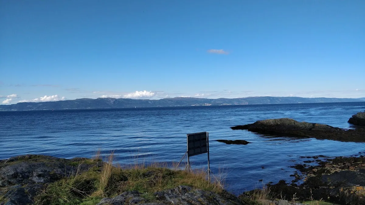 Korsvika