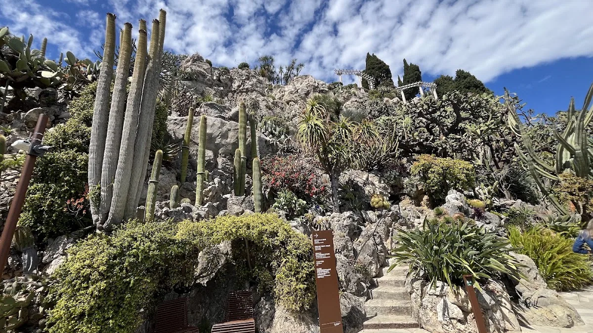 Exotic Garden of Monaco