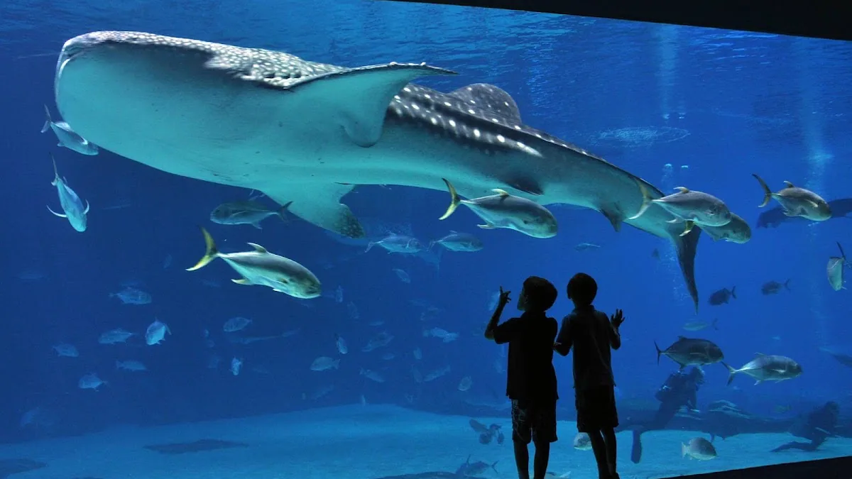 Acquario di Genova