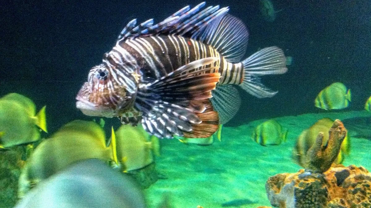 Acquario di Livorno