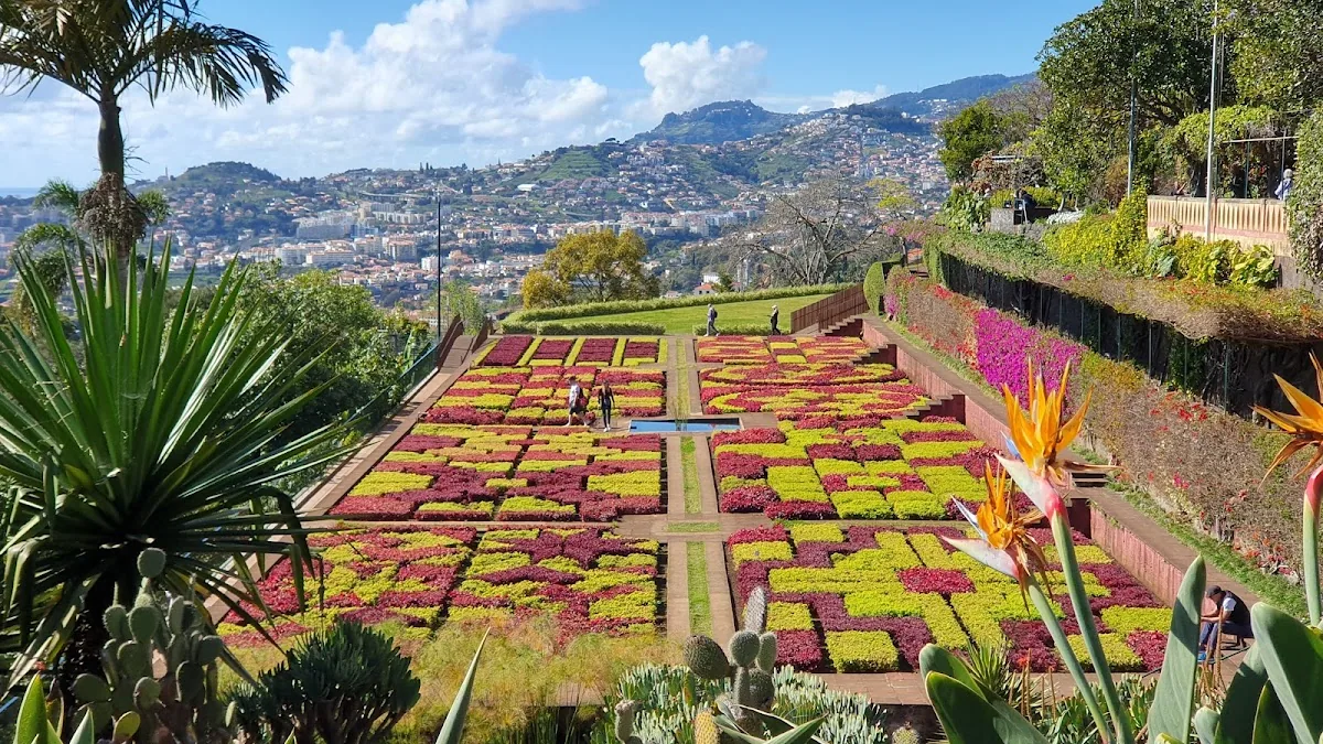 Madeira Botanical Garden