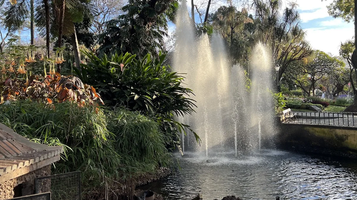 Jardim Municipal do Funchal