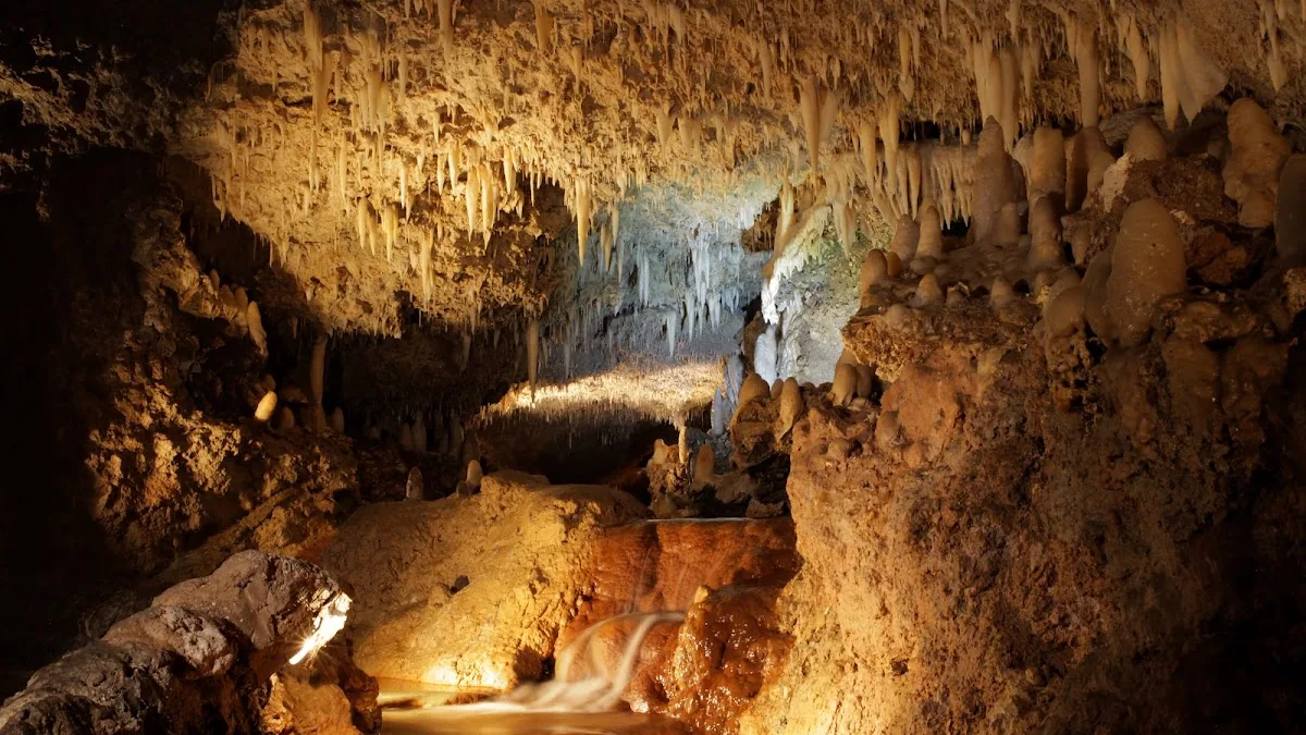 Harrison's Cave Eco-Adventure Park