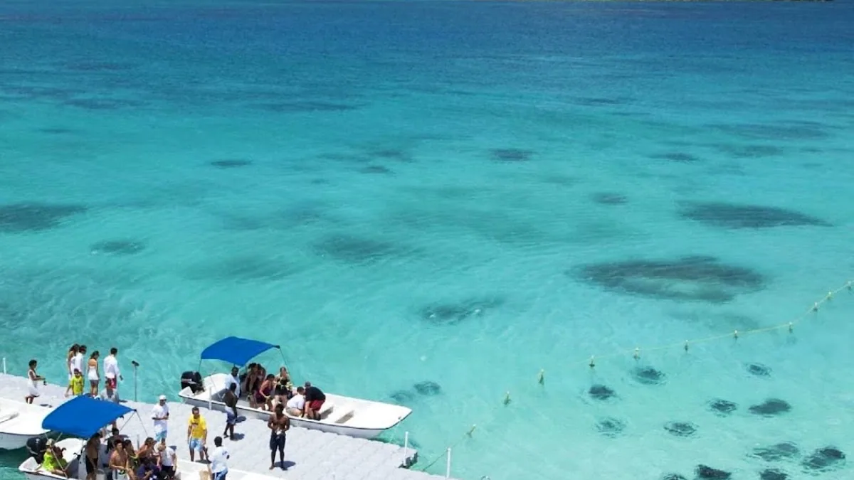 Stingray City Antigua