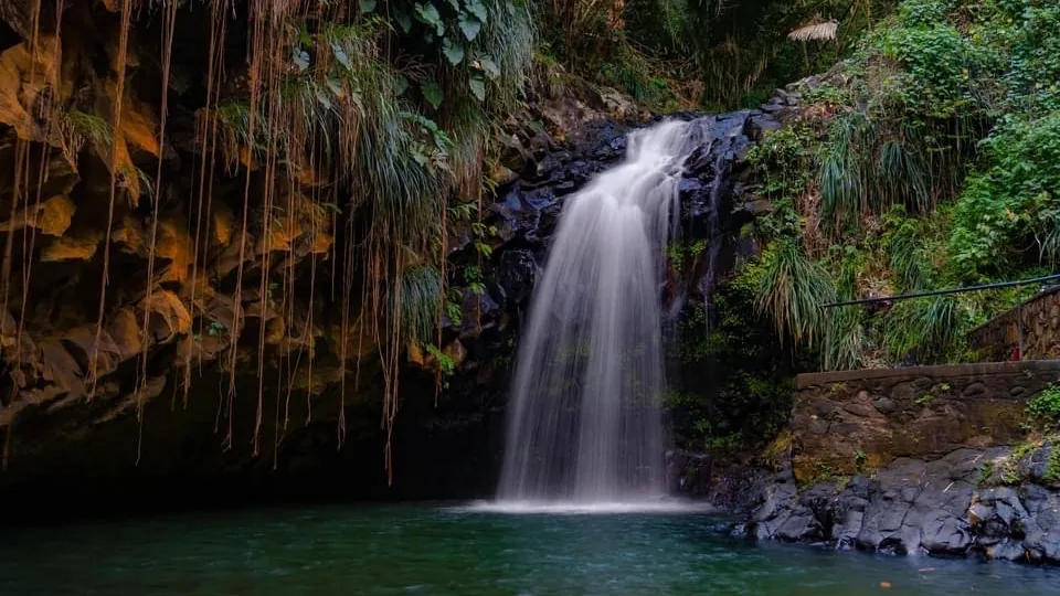 Annandale Waterfall & Forest Park