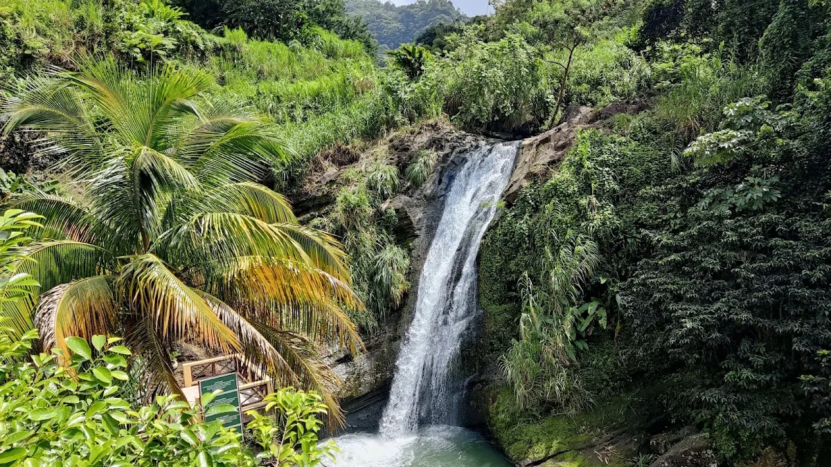 Concord Falls