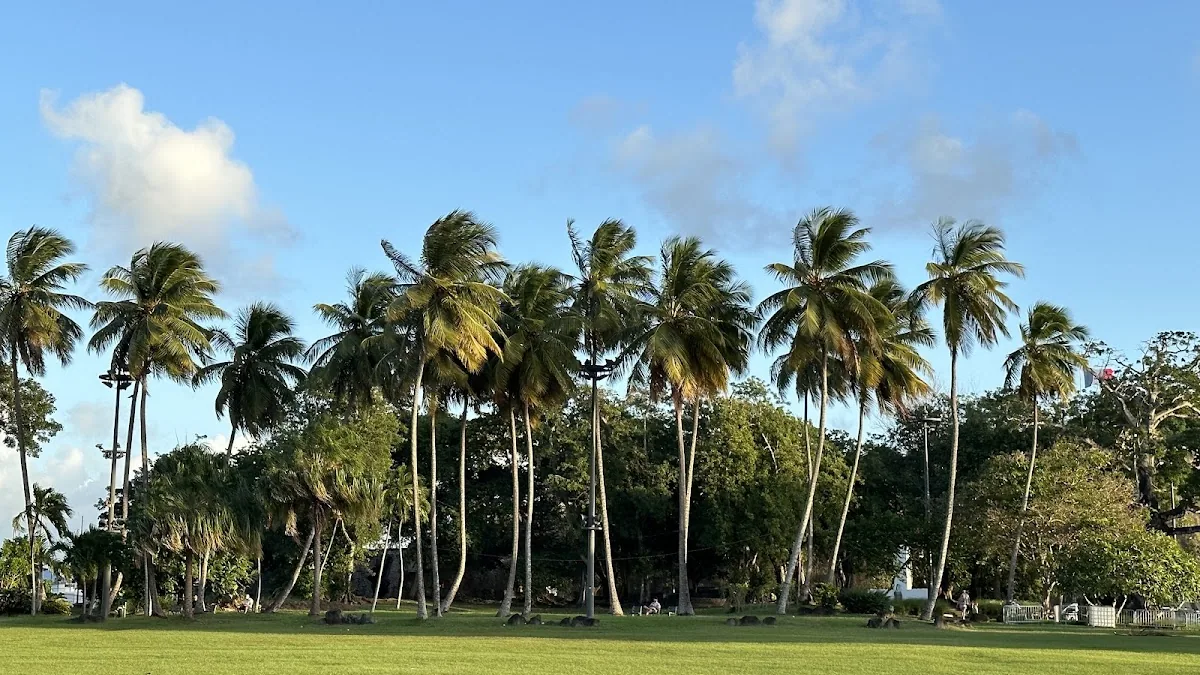 La Savane Park