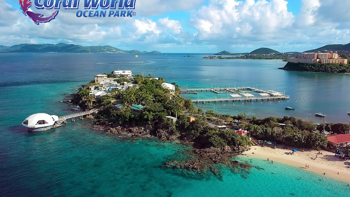 Coral World Ocean Park
