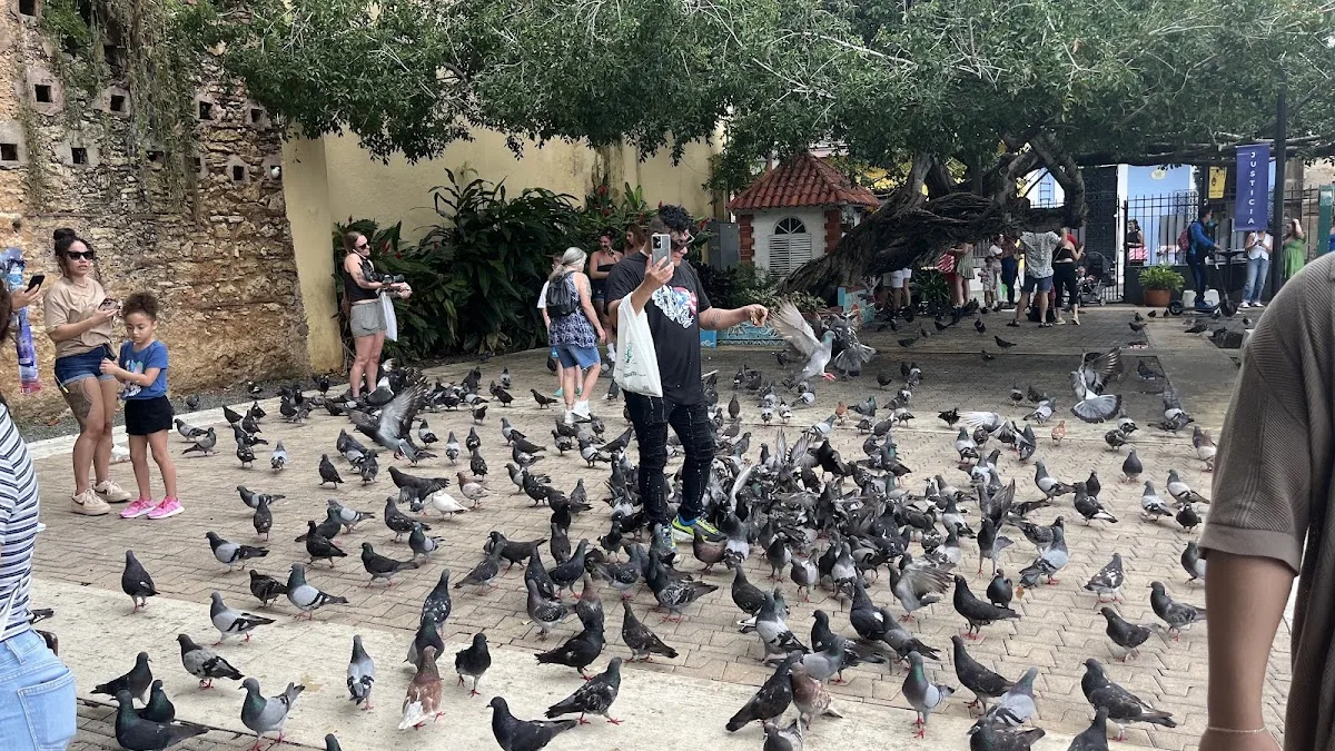 Parque de las Palomas