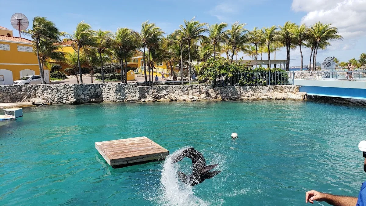 Curaçao Sea Aquarium