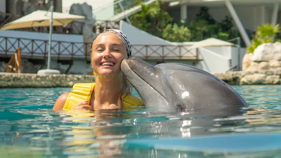 Dolphinaris Cozumel