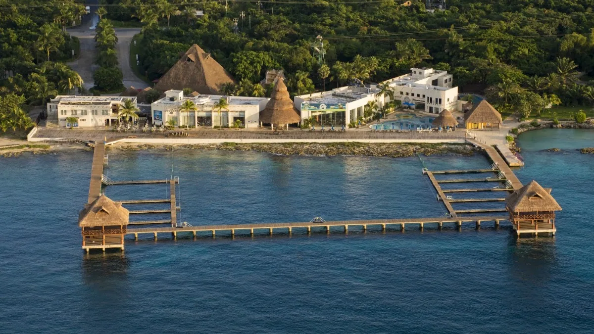 Dolphin Discovery Cozumel