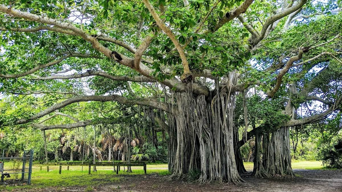 Hugh Taylor Birch State Park