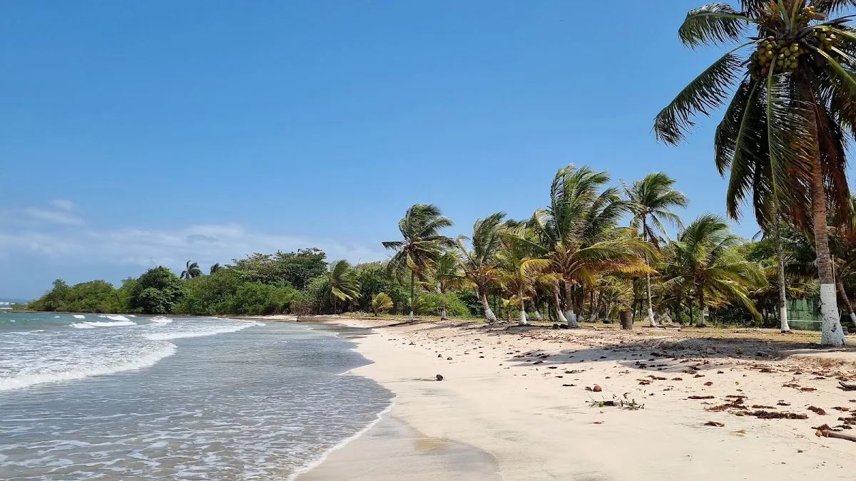 Playa Sherman