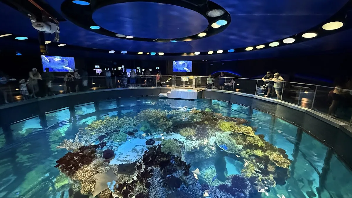New England Aquarium