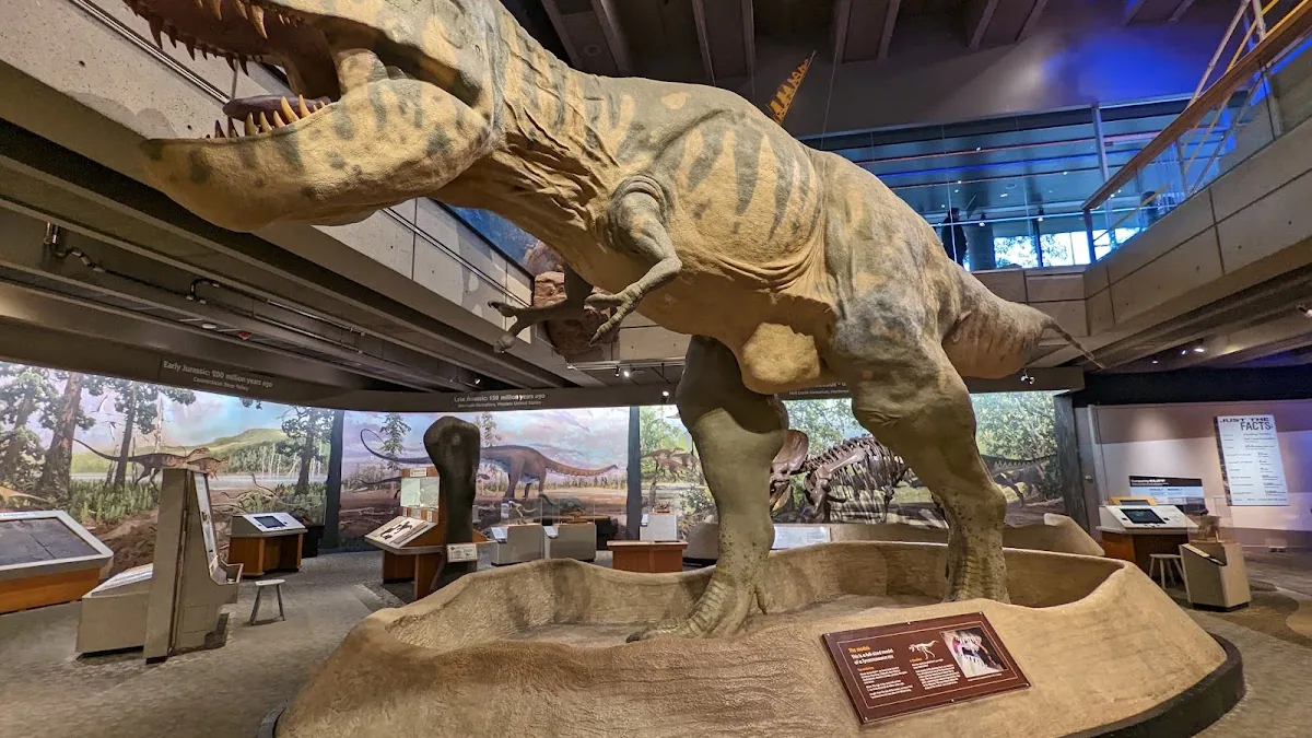 Museum of Science