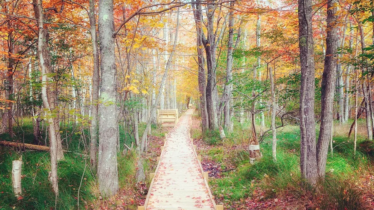 Wild Gardens of Acadia