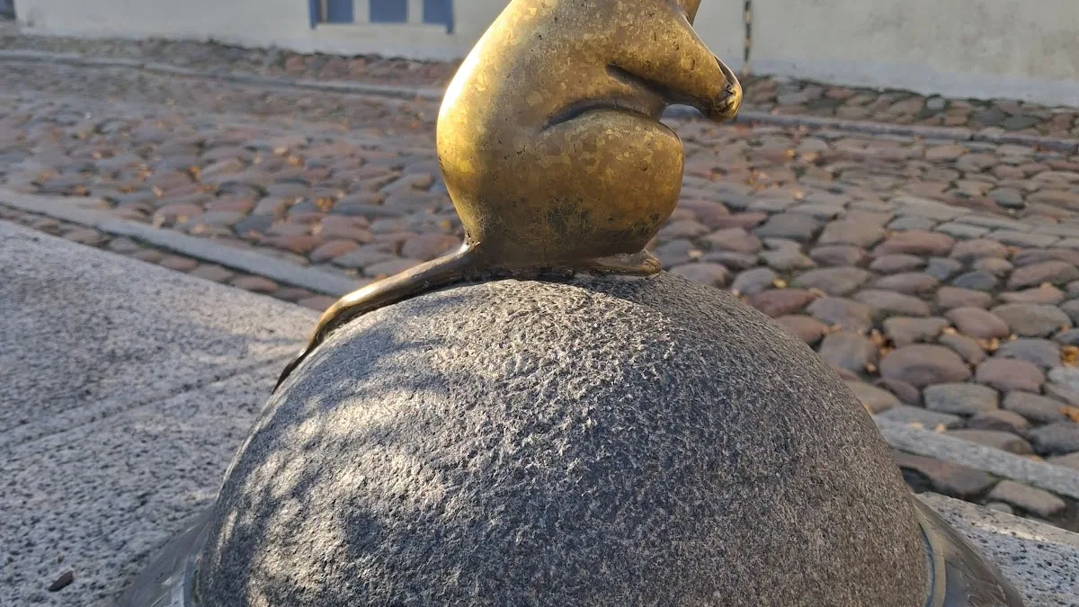 The Magical Mouse