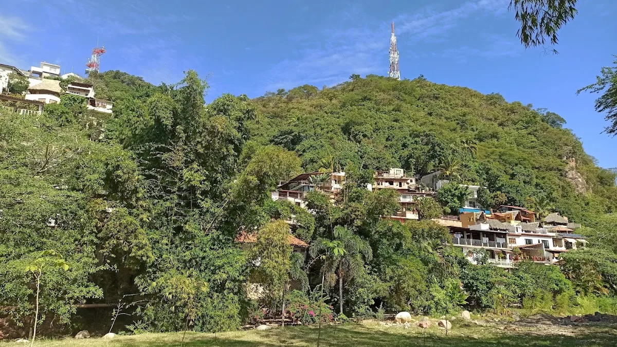 Gringo Gulch