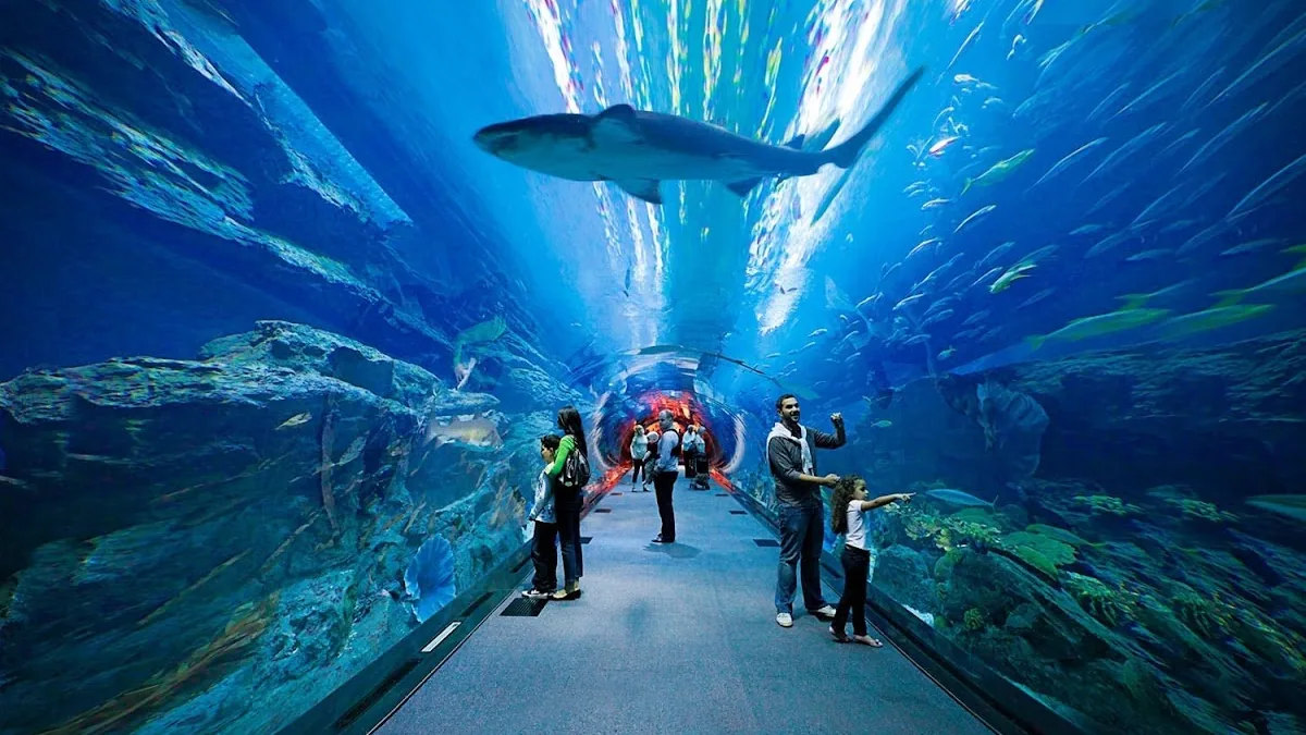 Dubai Aquarium & Underwater Zoo