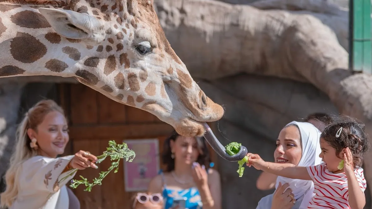 Emirates Park Zoo and Resort