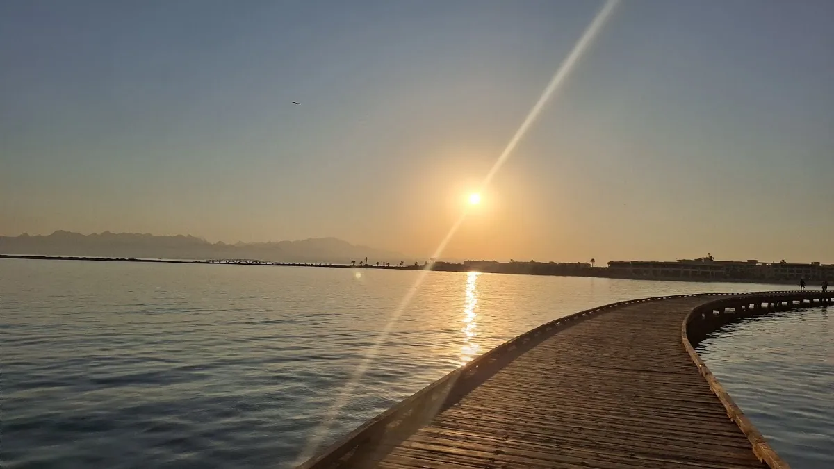 The Jetty