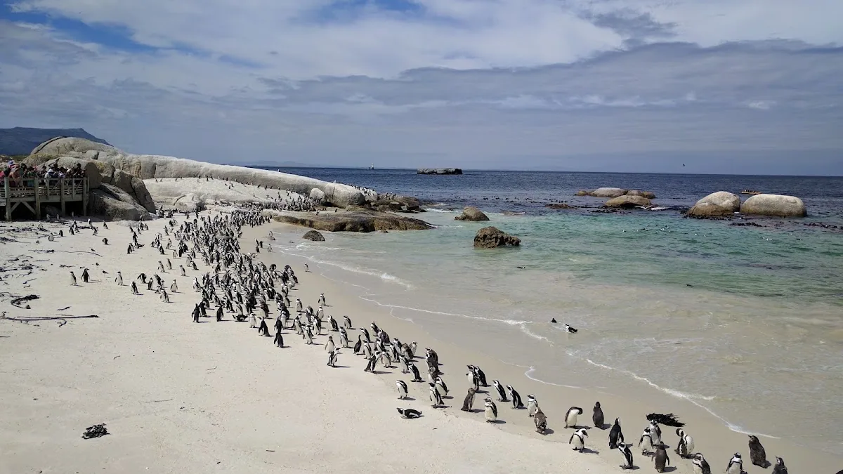 Boulders Beach