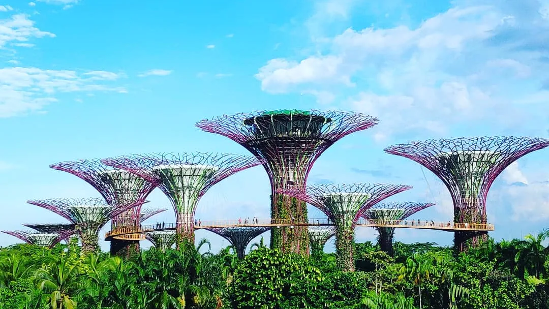 Gardens by the Bay