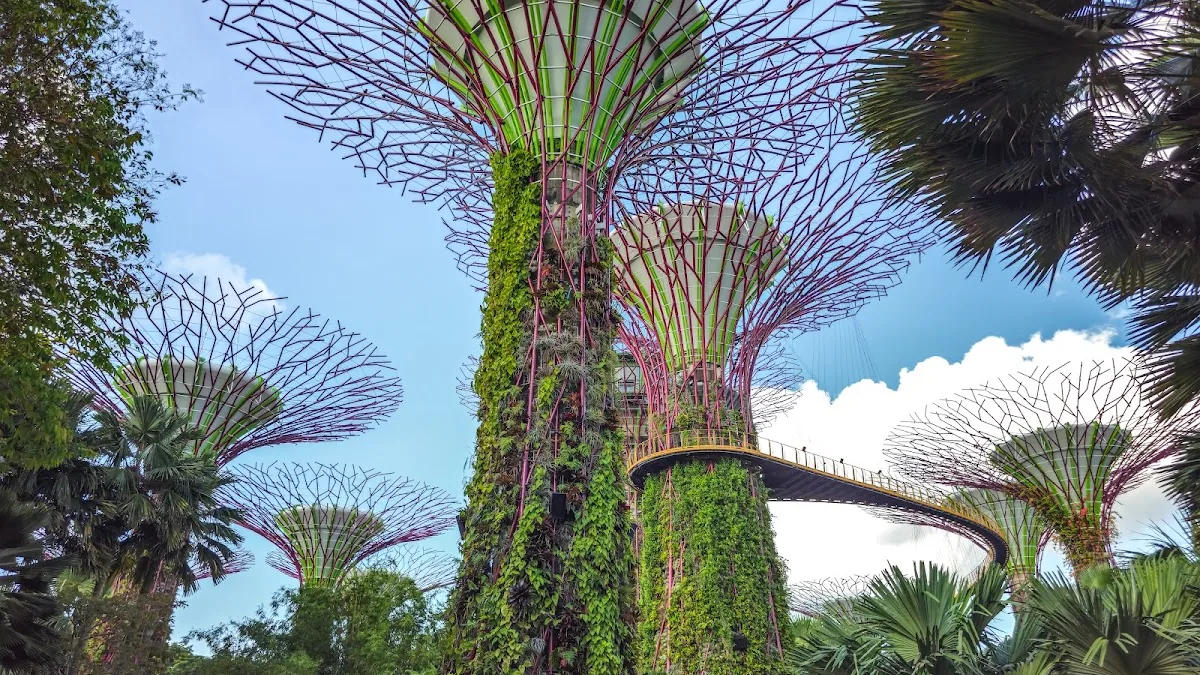 Supertree Grove