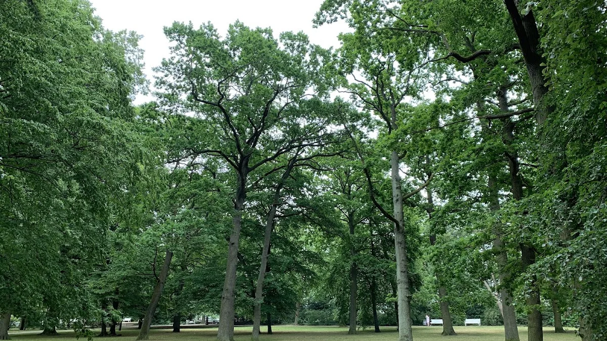 Kur Park