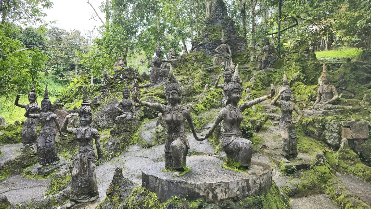 Tarnim Magic Garden