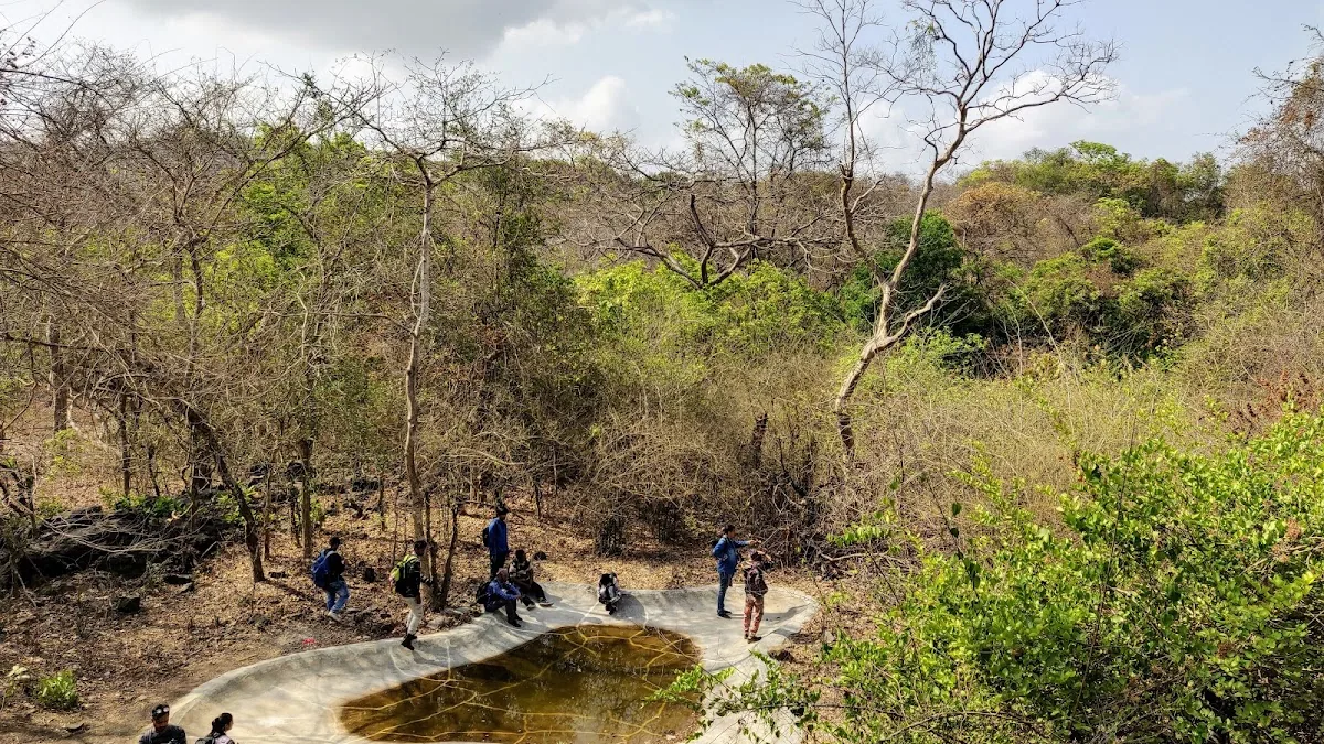 Sanjay Gandhi National Park