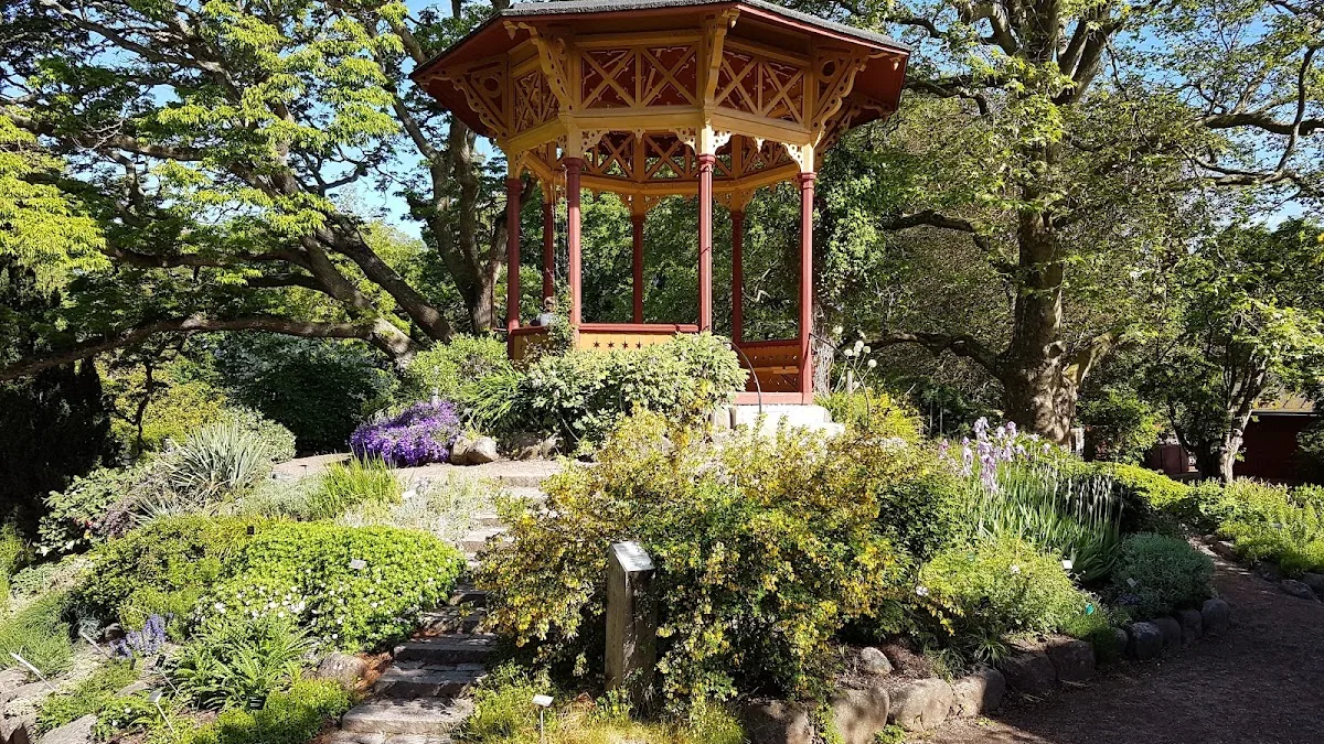DBW's Botanical Garden