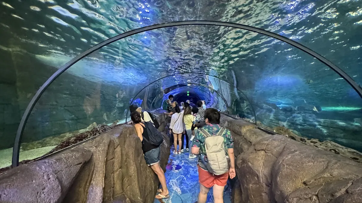 SEA LIFE Sydney Aquarium