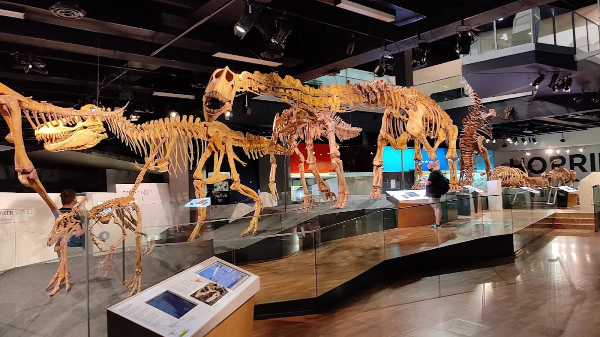 Melbourne Museum