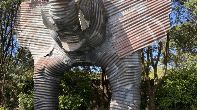 Auckland Zoo