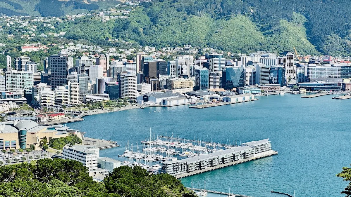 Mount Victoria Lookout