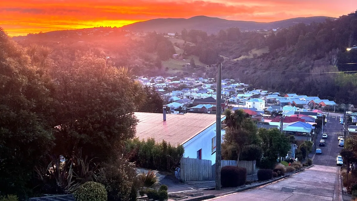 Baldwin Street - The Steepest Street in the World