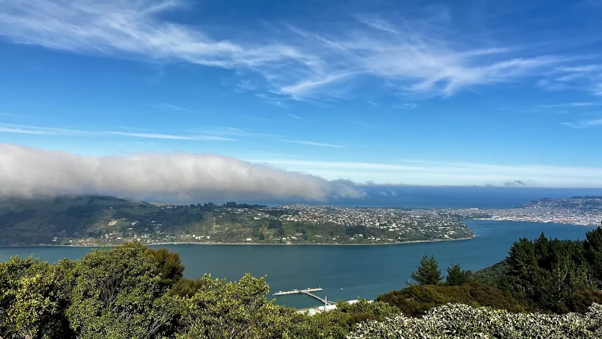 Signal Hill Lookout