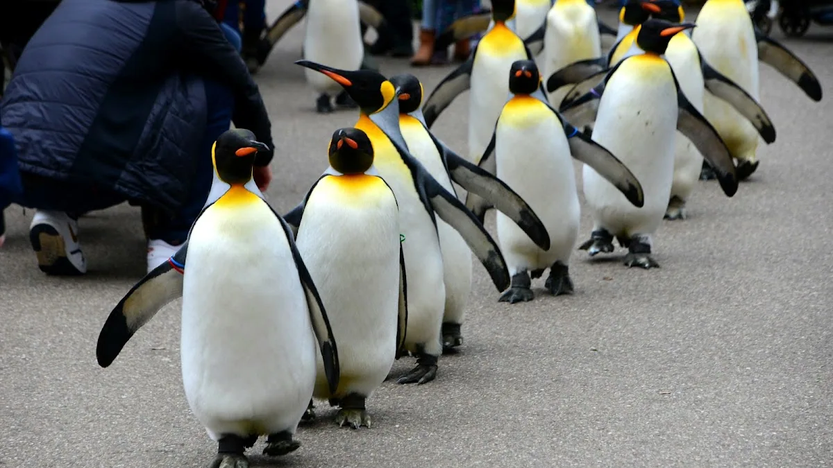 Zoo Basel
