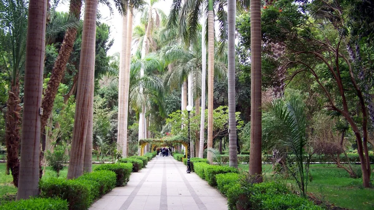 Aswan Botanical Garden