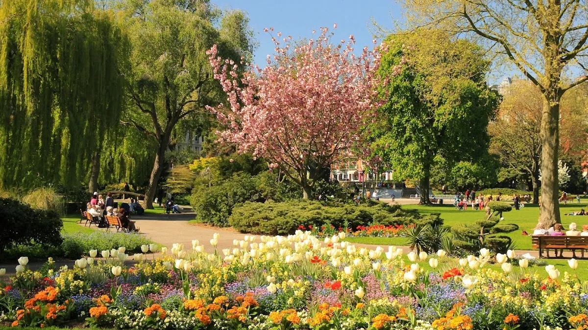 Square Saint-Roch
