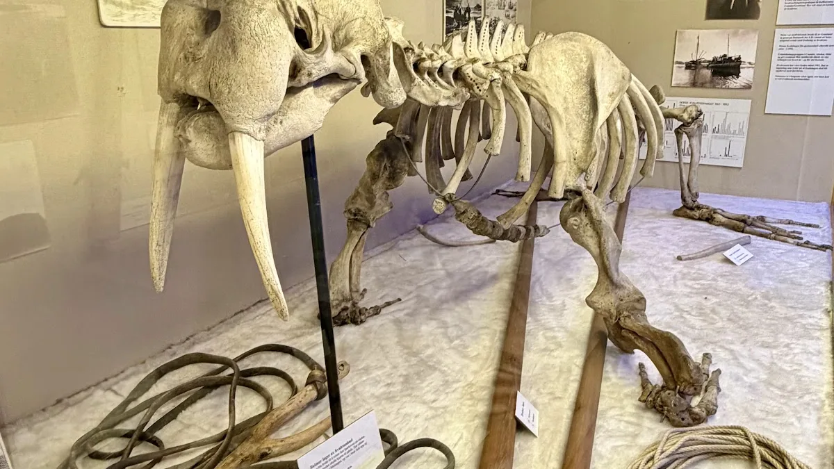 The Polar Museum