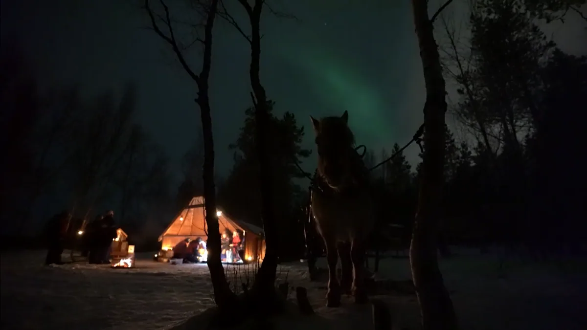 Flatmoen nature