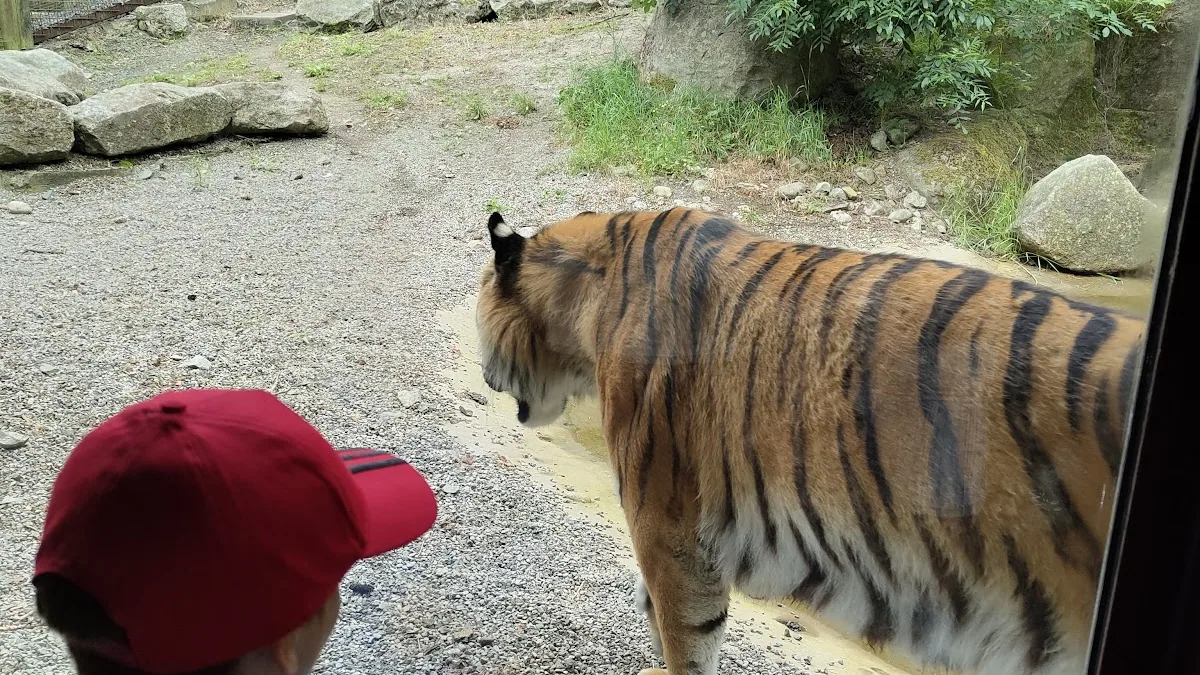Dublin Zoo