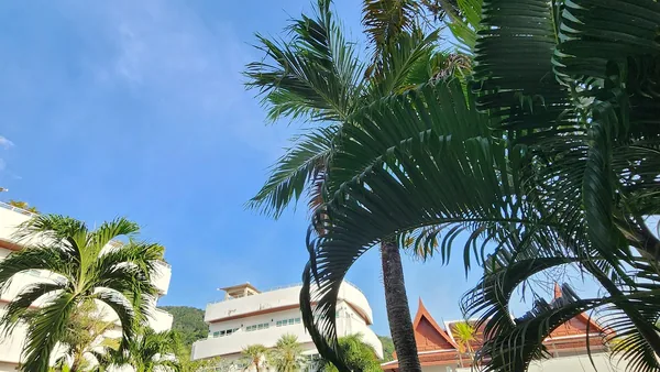 Phuket — photo 5