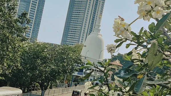 Colombo — photo 1