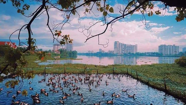 Kochi — photo 1