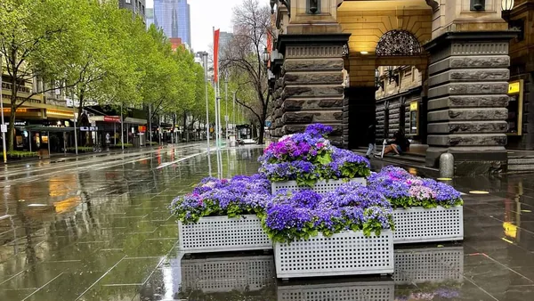 Melbourne — photo 5