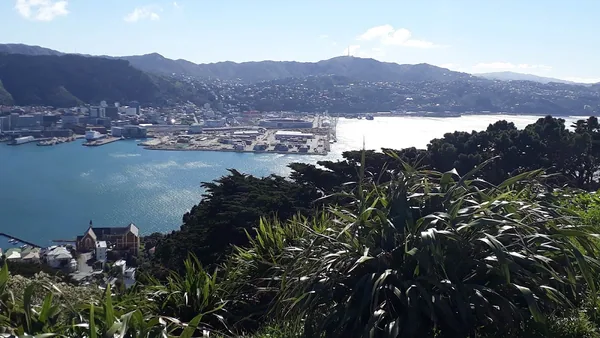 Wellington — photo 3